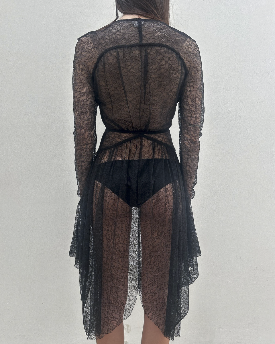 Antonio Berardi Sheer Lace Dress