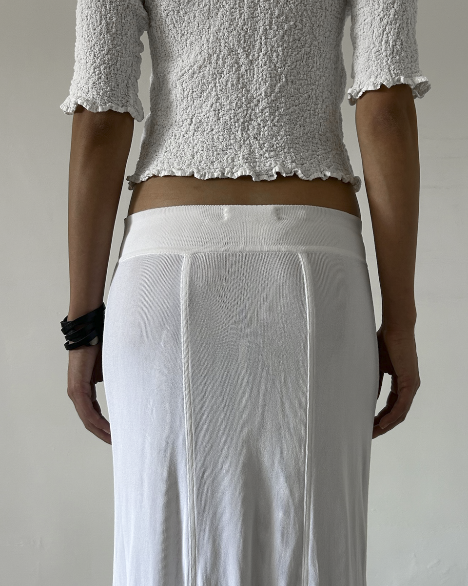 Celine Sheer Maxi Skirt