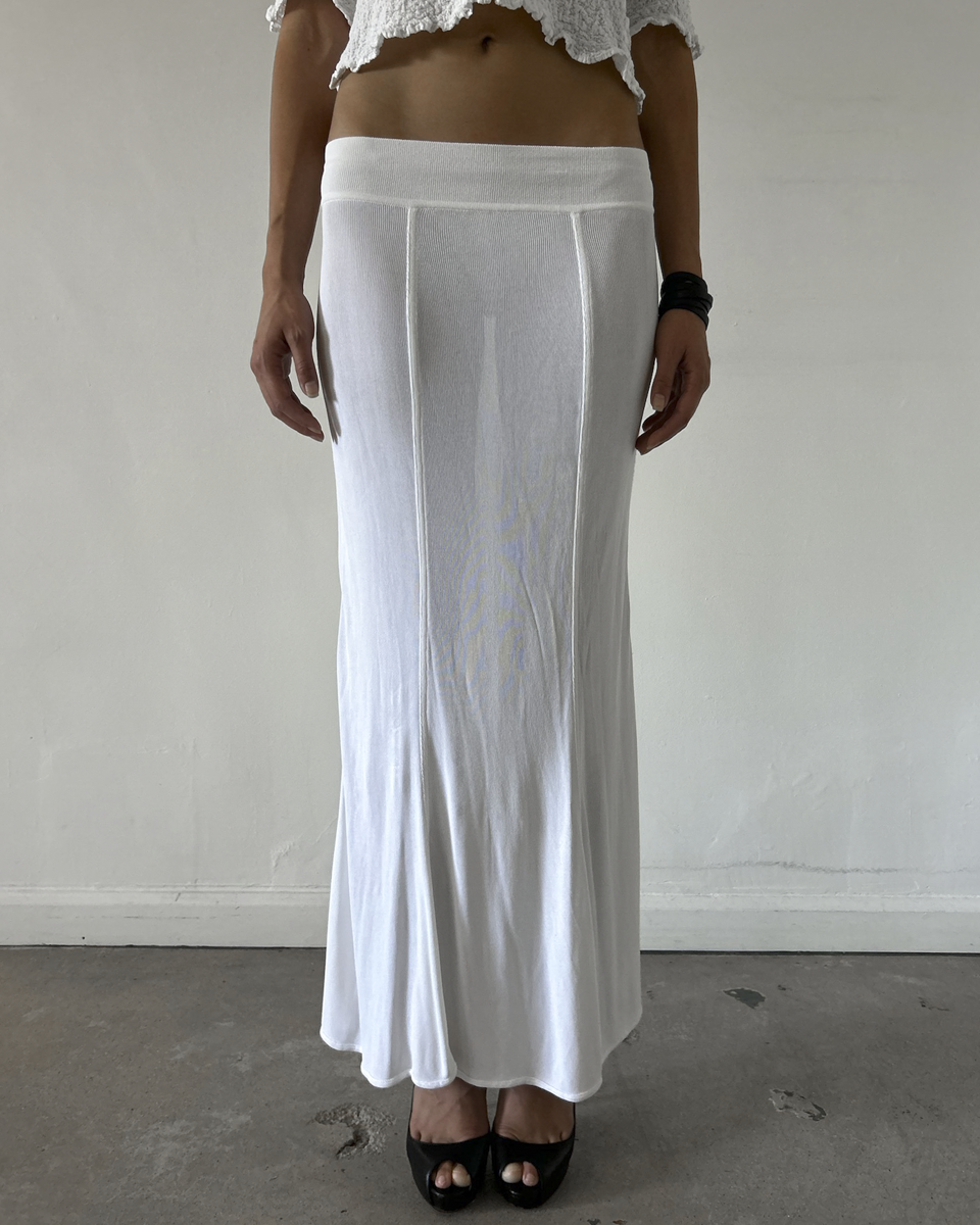 Celine Sheer Maxi Skirt