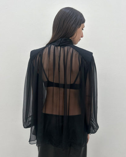 Alberta Ferretti Sheer Blouse