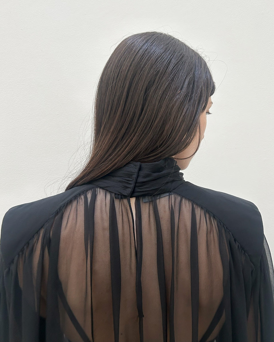 Alberta Ferretti Sheer Blouse
