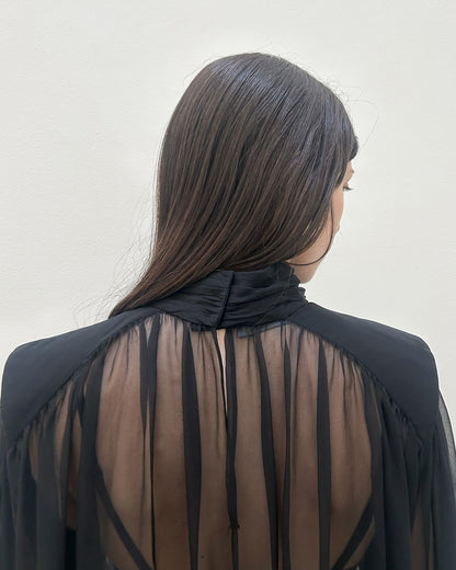 Alberta Ferretti Sheer Blouse