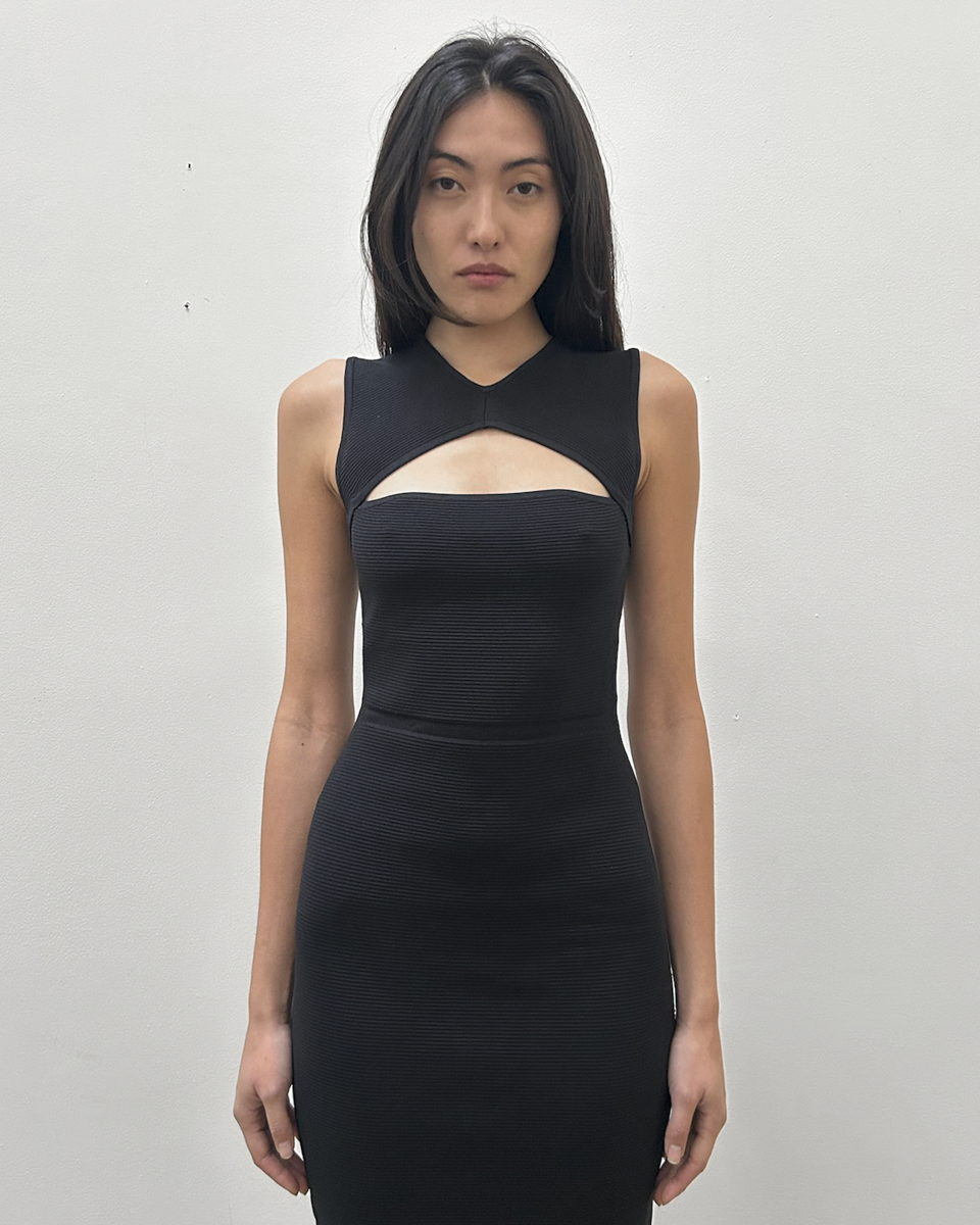 Narcisco Rodriguez Cut-Out Dress