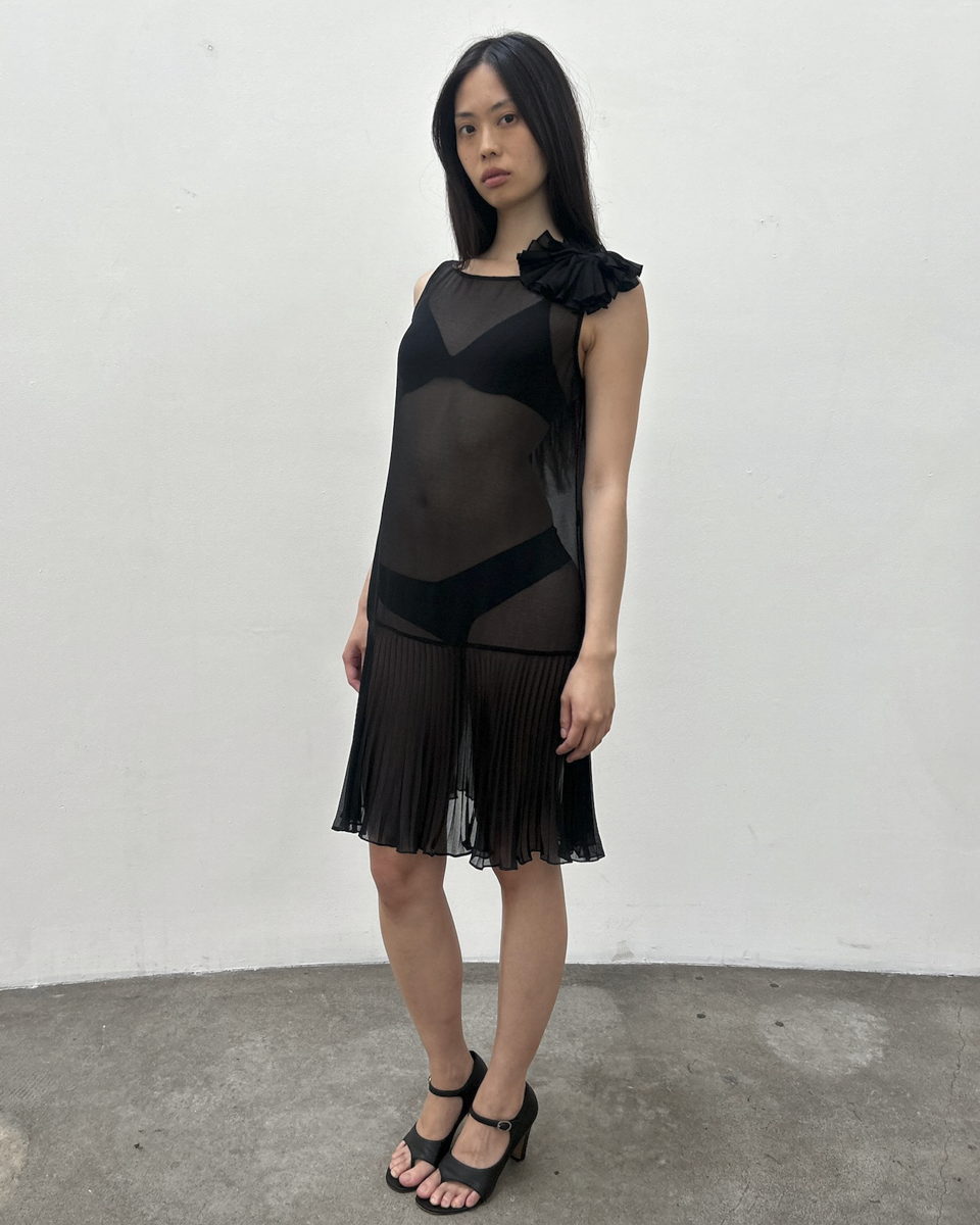 Vintage Sheer Drop-Waist Dress