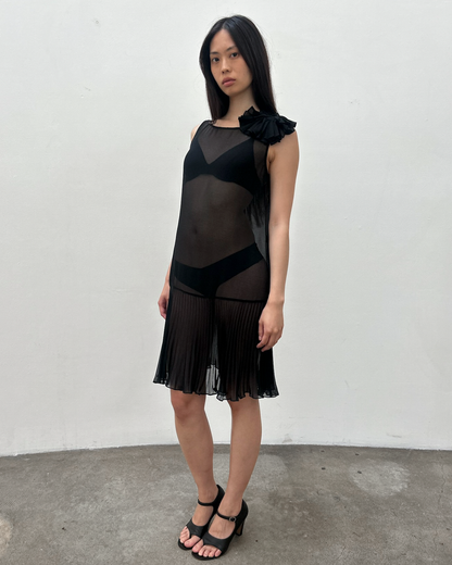 Vintage Sheer Drop-Waist Dress