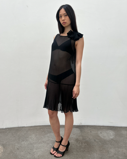 Vintage Sheer Drop-Waist Dress