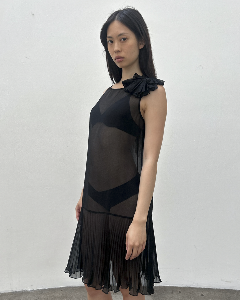 Vintage Sheer Drop-Waist Dress