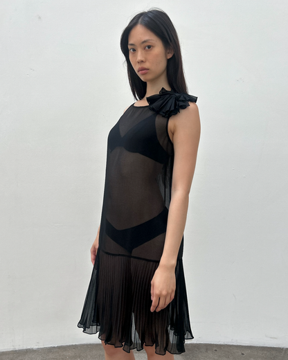 Vintage Sheer Drop-Waist Dress