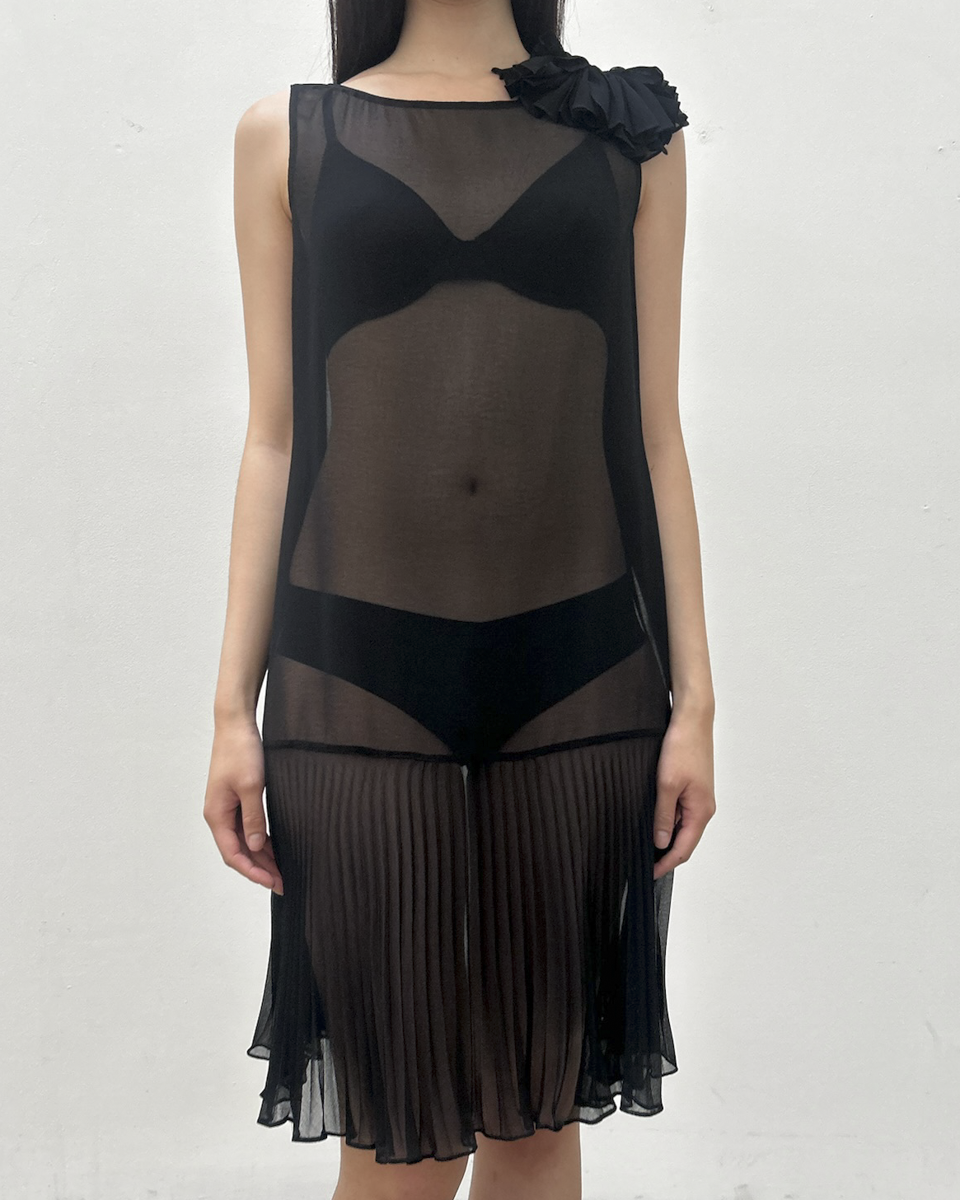 Vintage Sheer Drop-Waist Dress