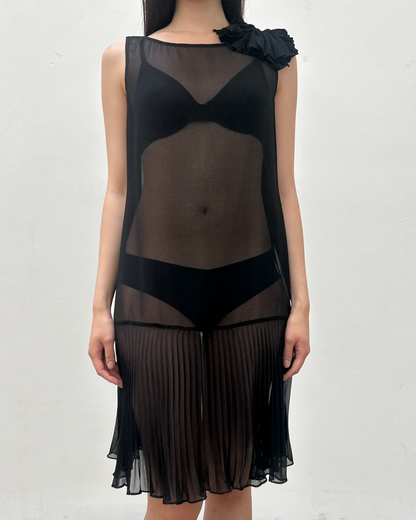 Vintage Sheer Drop-Waist Dress