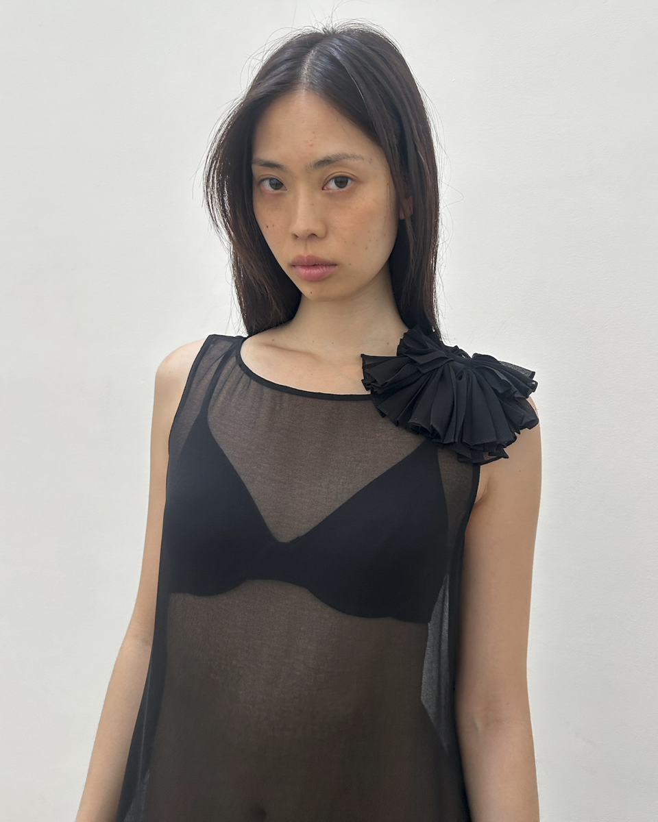 Vintage Sheer Drop-Waist Dress