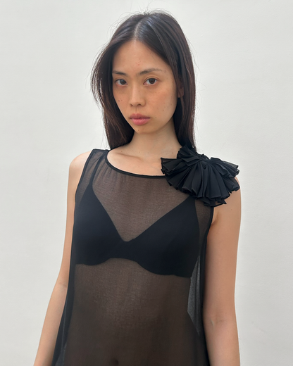 Vintage Sheer Drop-Waist Dress