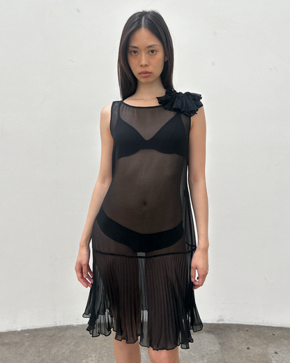 Vintage Sheer Drop-Waist Dress