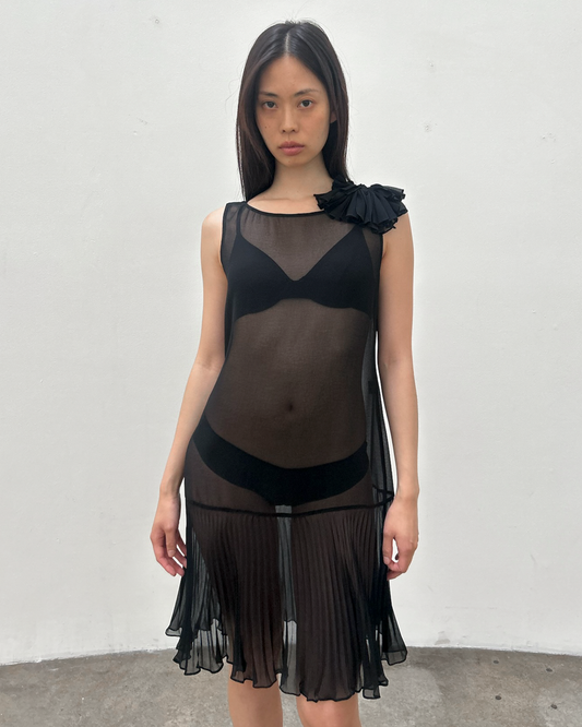 Vintage Sheer Drop-Waist Dress