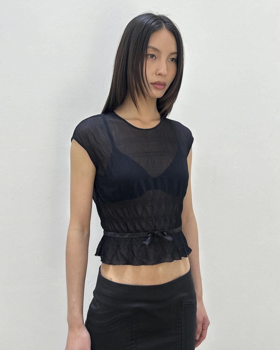 Anna Molinari Sheer Bow Top