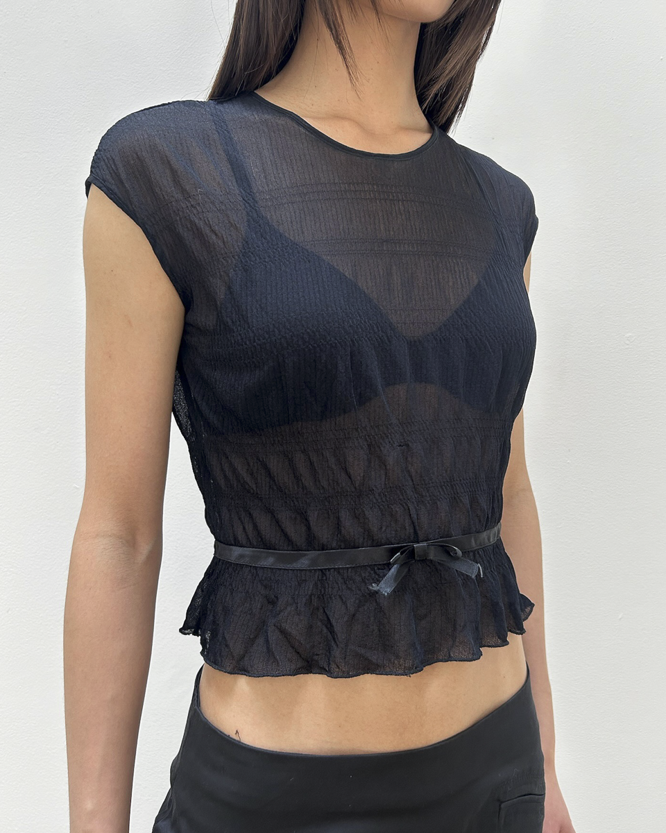Anna Molinari Sheer Bow Top