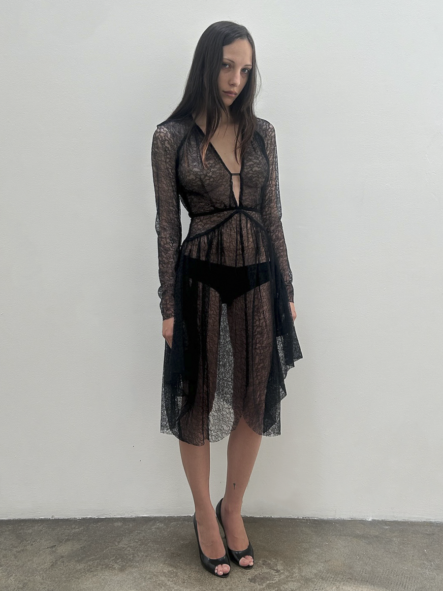 Antonio Berardi Sheer Lace Dress