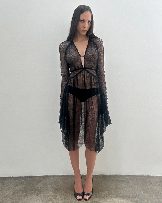 Antonio Berardi Sheer Lace Dress