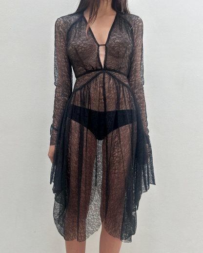 Antonio Berardi Sheer Lace Dress