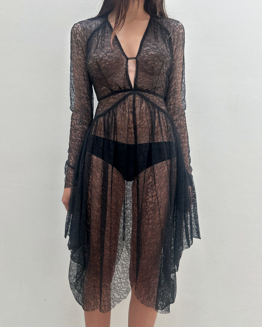 Antonio Berardi Sheer Lace Dress