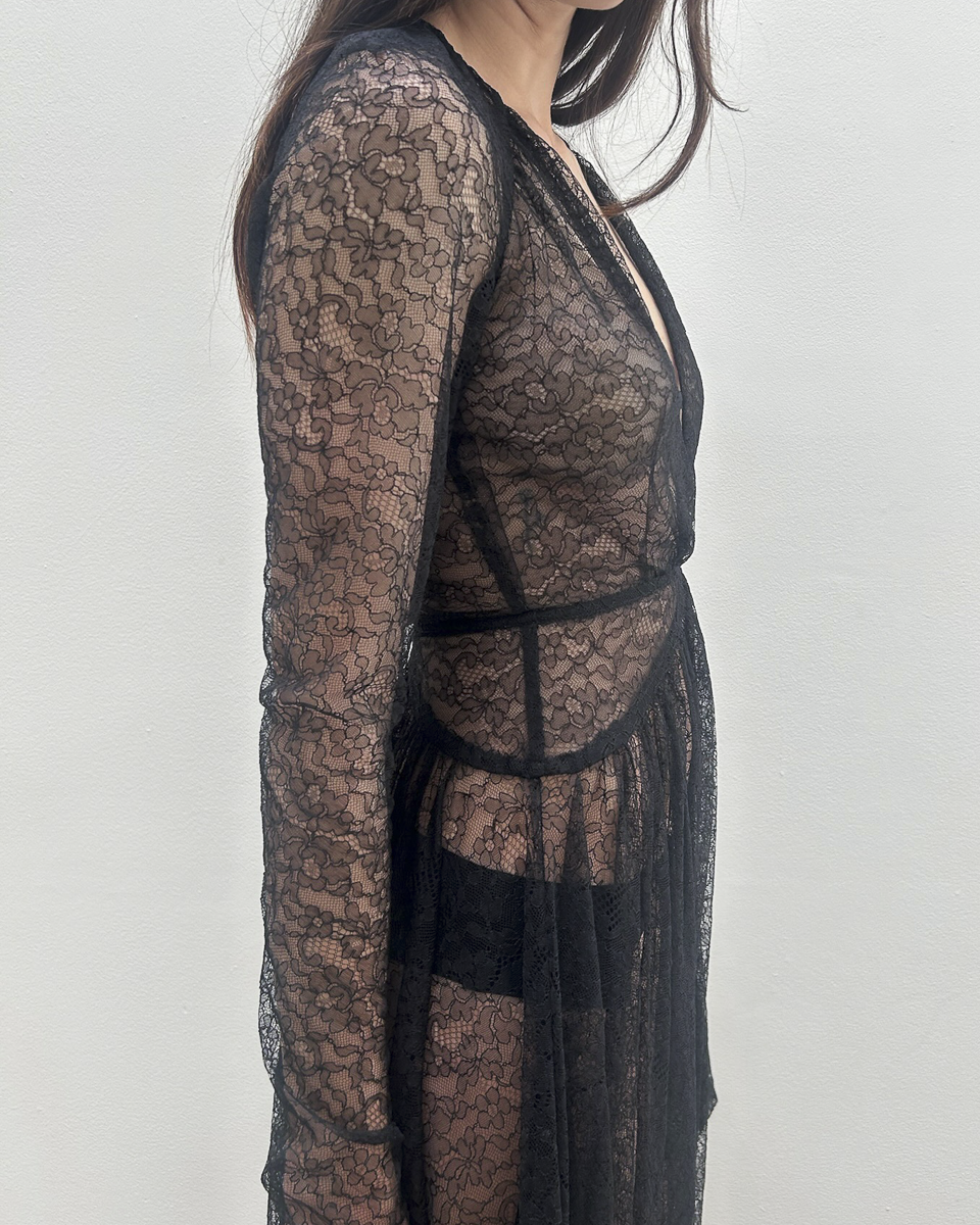Antonio Berardi Sheer Lace Dress