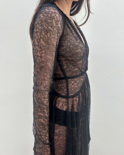 Antonio Berardi Sheer Lace Dress