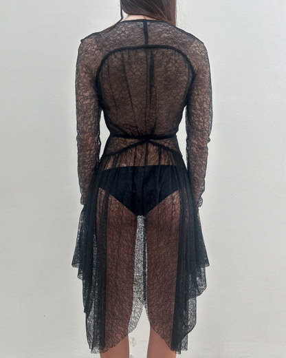 Antonio Berardi Sheer Lace Dress