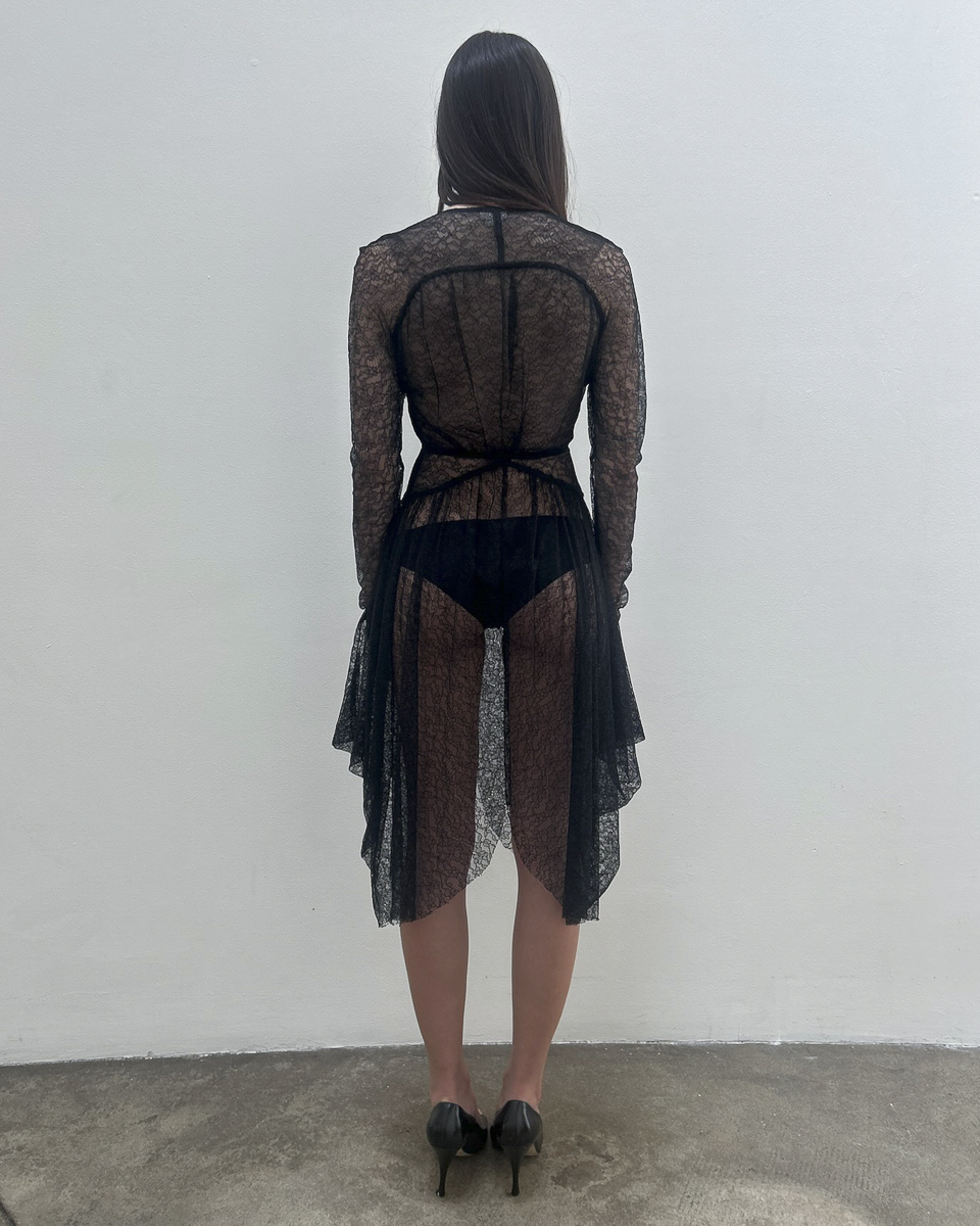 Antonio Berardi Sheer Lace Dress