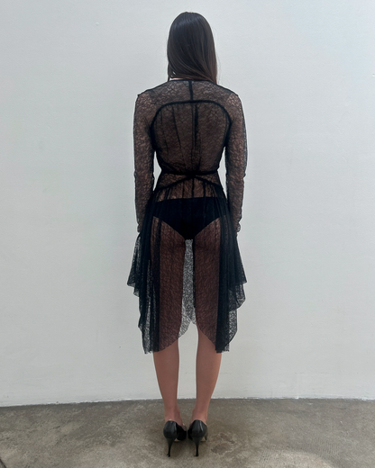 Antonio Berardi Sheer Lace Dress