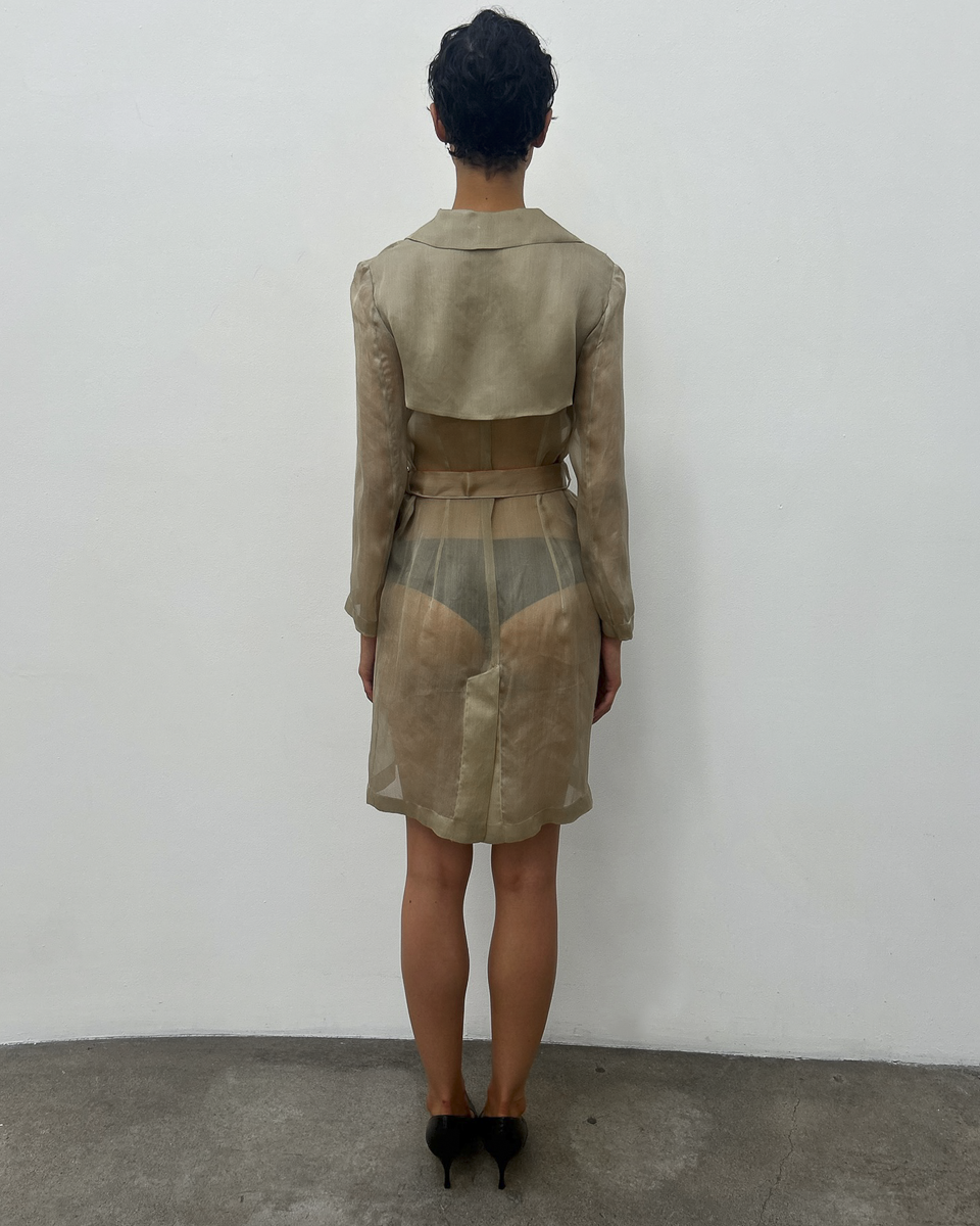 Alberta Ferretti Sheer Silk Trench Coat