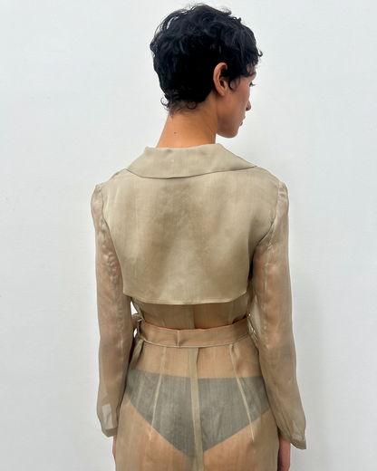 Alberta Ferretti Sheer Silk Trench Coat