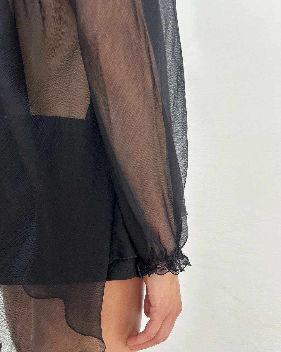 Alberta Ferretti Sheer Silk Blouse